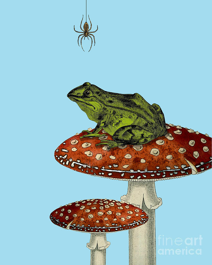 Spider Digital Art - Happy Frog by Madame Memento