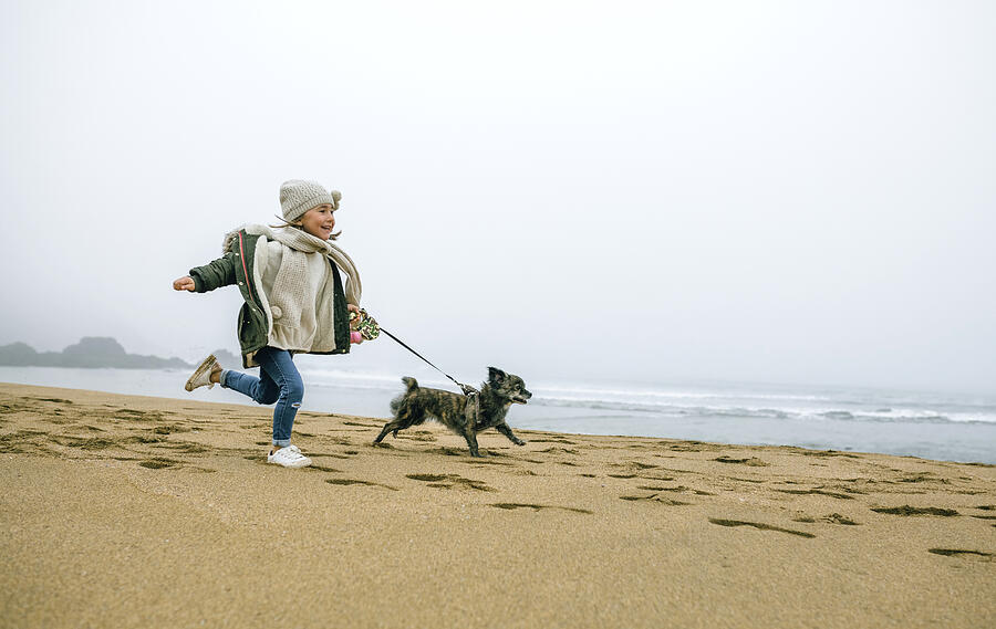 Happy girl running with dog on the beach on a foggy winter day Photograph by Westend61