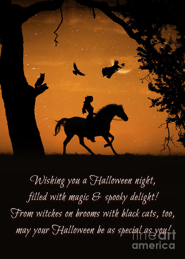 Happy Halloween with Witch Horse Black Cat Owl Raven and Crescent Moon Photograph by Stephanie Laird