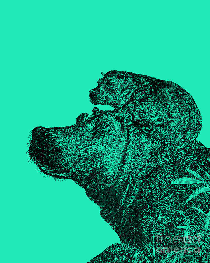 Hippopotamus Digital Art - Happy Hippo Family by Madame Memento