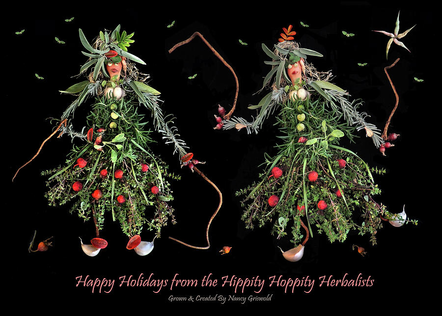 Happy Holidays from the Herbalists Photograph by Nancy Griswold