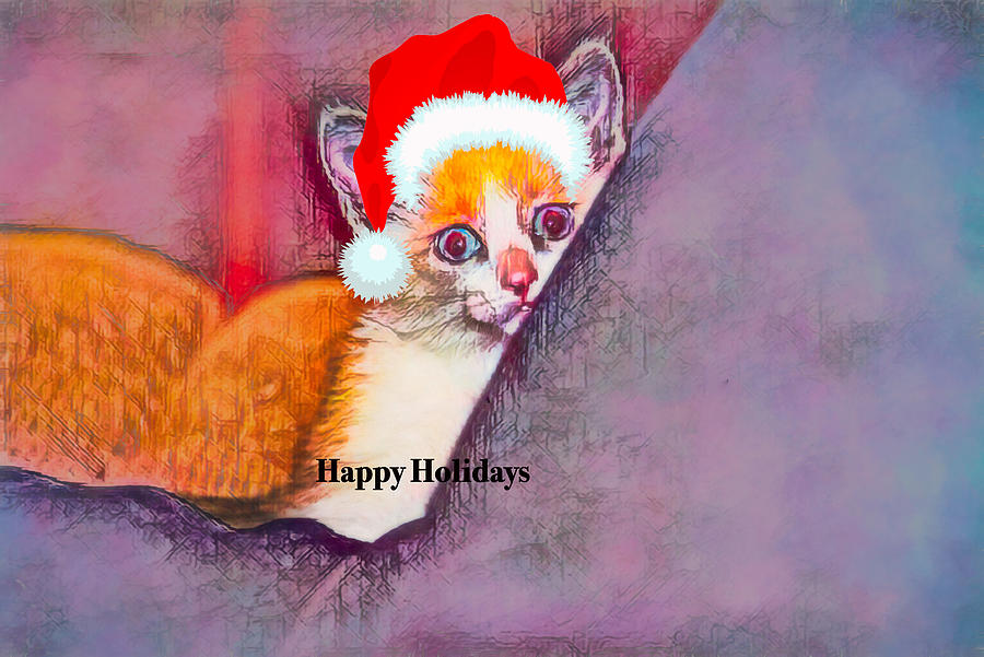 Happy Holiday Kitty Photograph by Patricia Dennis
