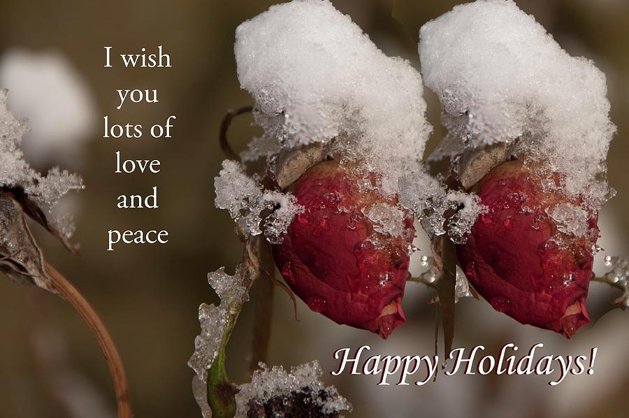 Happy Holidays flowers Photograph by Lieve Snellings