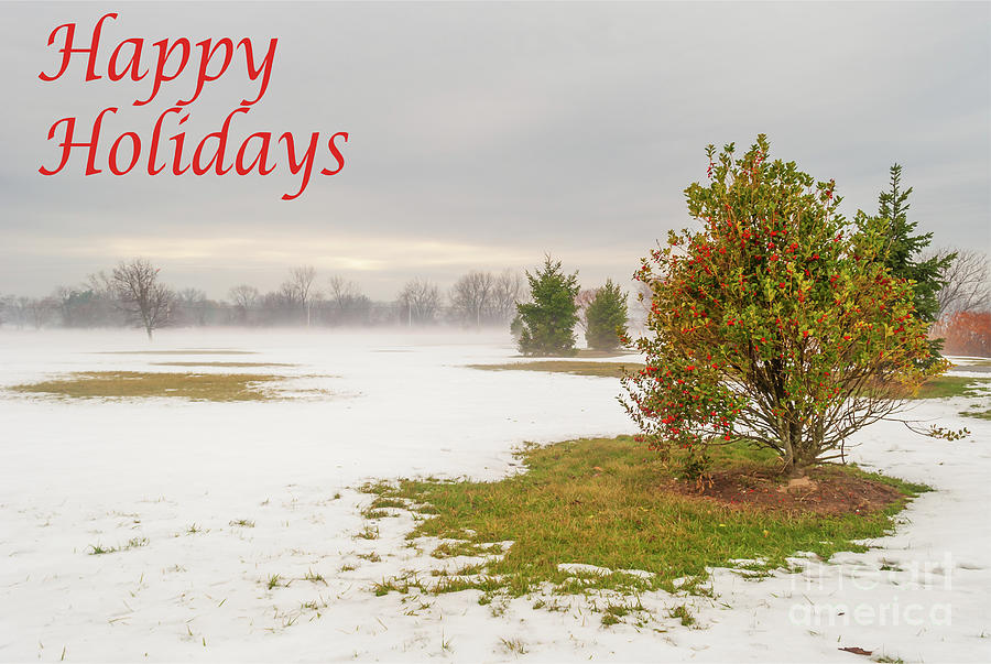 Happy Holidays- Lonely Shrub by Len Tauro Happy Holidays- Lonely Shrub by Len Tauro
