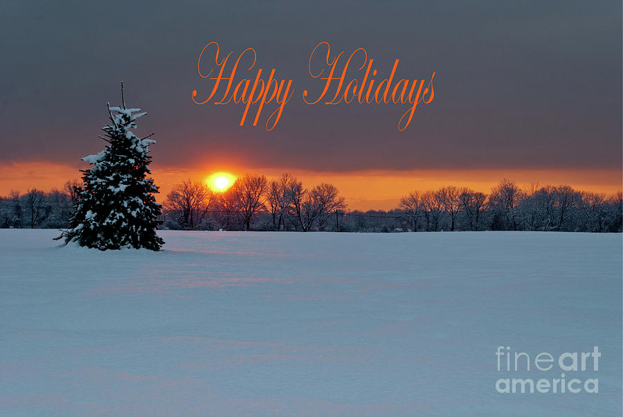 Happy Holidays- Lonely Tree by Len Tauro Happy Holidays- Lonely Tree by Len Tauro