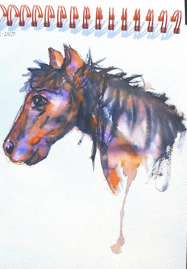 Happy Horse watercolor   sketch                2071 Painting by Cheryl Nancy Ann Gordon