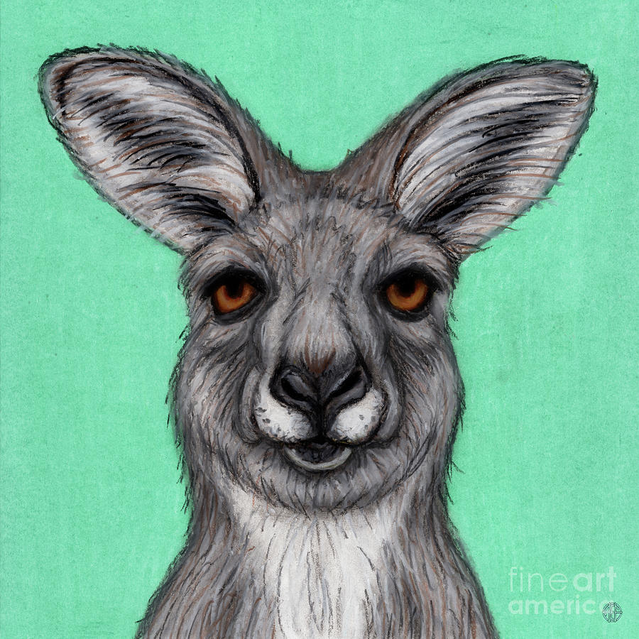 Happy Kangaroo  Painting by Amy E Fraser