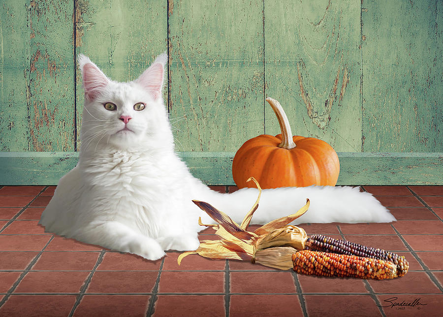 Thanksgiving Digital Art - Happy Maine Coon Thanksgiving by Spadecaller