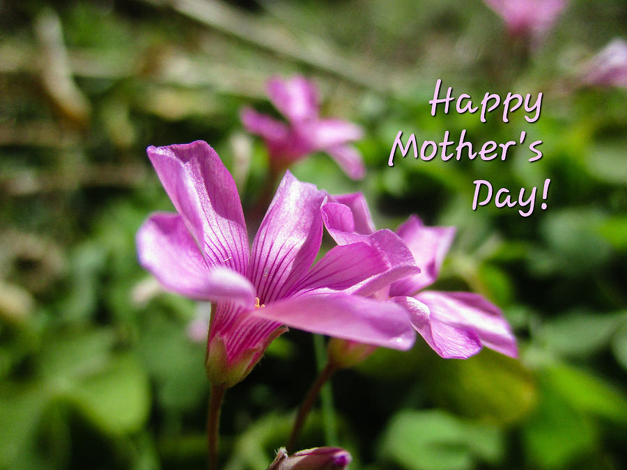 Happy Mothers Day 2022 Photograph by W Craig Photography
