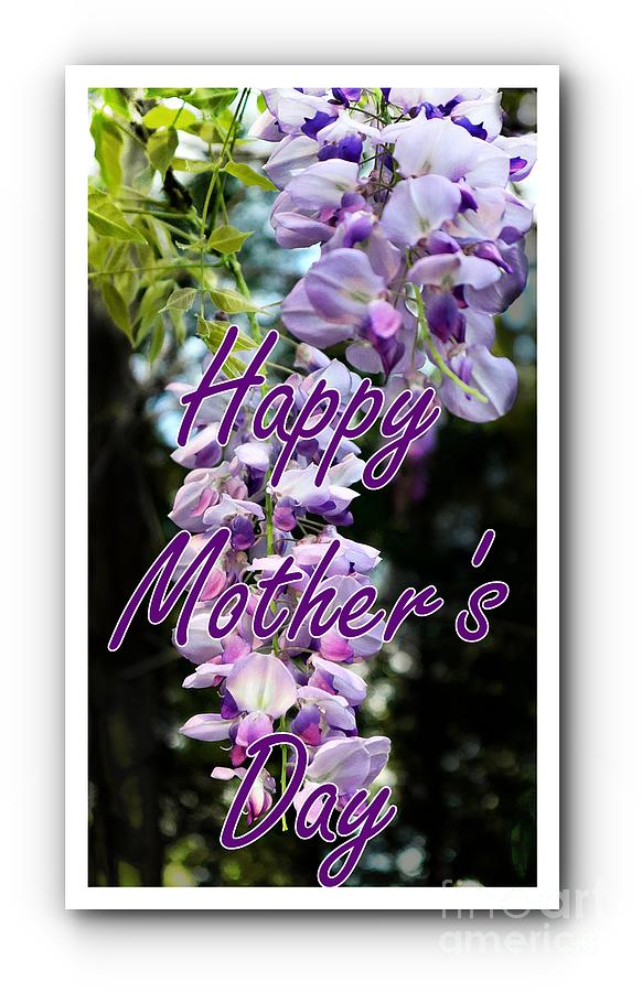 Purple Flowering Tree Mothers Day Greeting Photograph