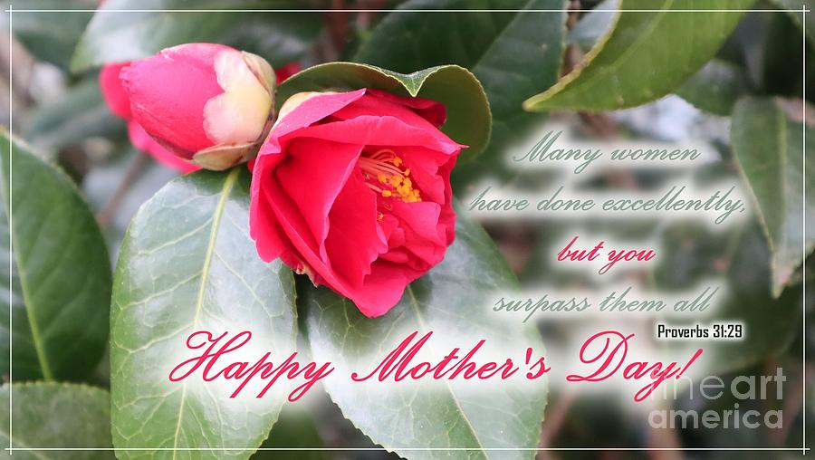 You Surpass Them All Mothers Day Greeting Photograph