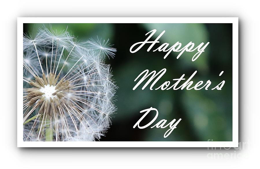 White Dandelion Mothers Day Greeting Photograph