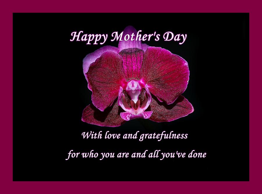 Happy Mothers Day Purple Orchid Photograph