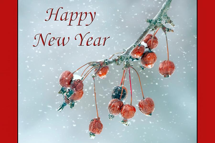 Happy New Year - Crabapple Winter Photograph by Nikolyn McDonald