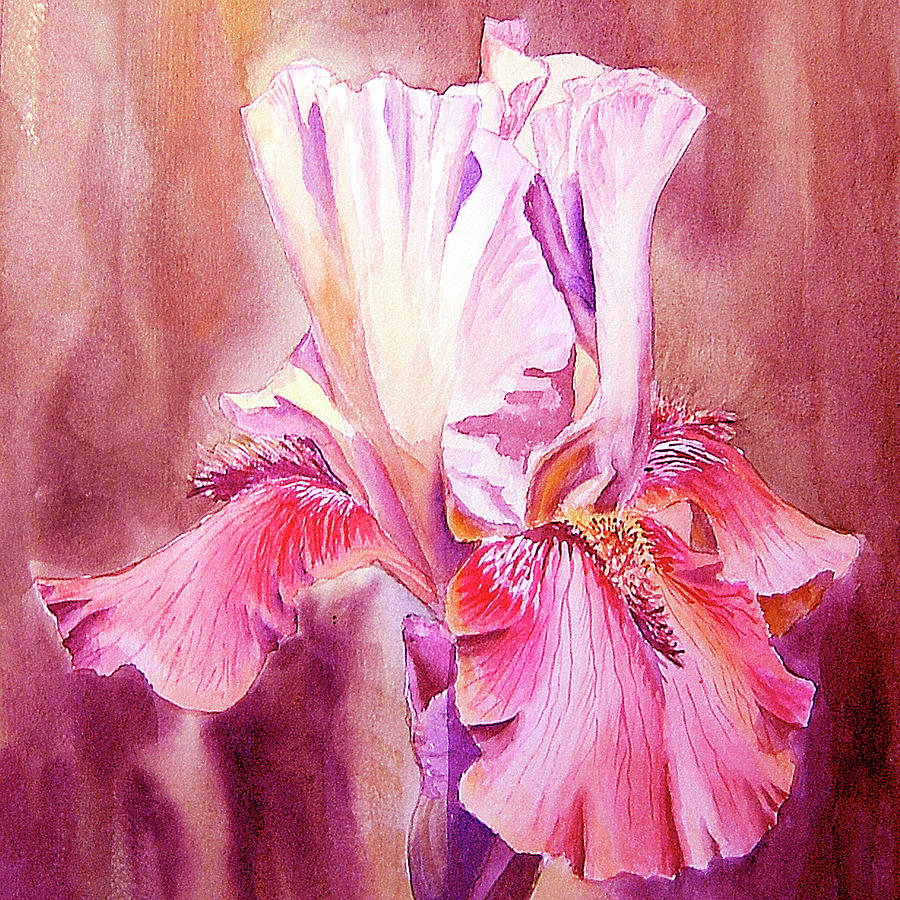 Happy Pink Iris Flower In The Garden Watercolor Painting