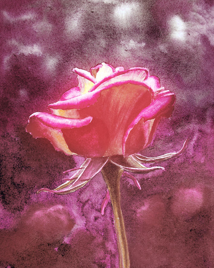 Happy Pink Rose Flower Under A Garden Sun Watercolor Painting
