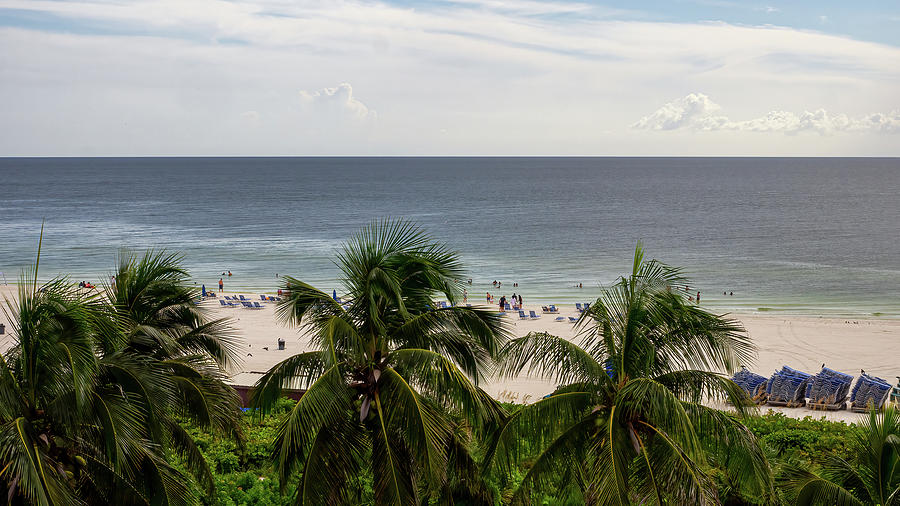 A Happy Place.... Photograph by David Choate - Fine Art America