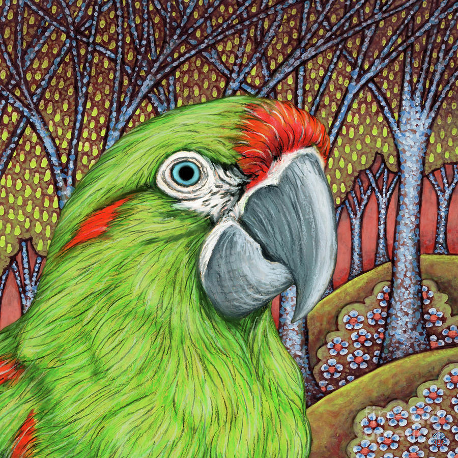 Happy Red Fronted Macaw Painting by Amy E Fraser