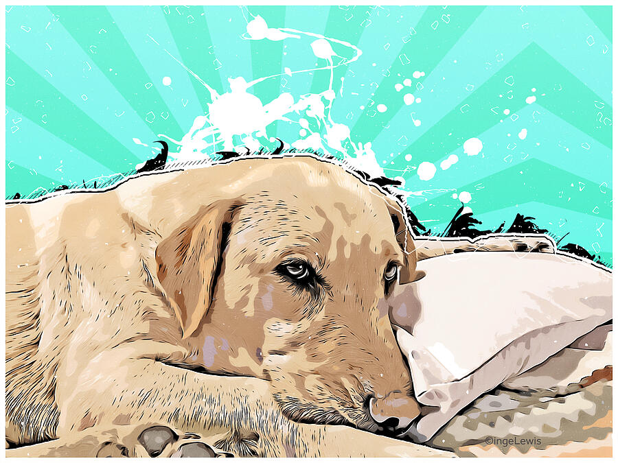 Relaxing Labrador Dog on his Pillow Digital Art by Inge Lewis