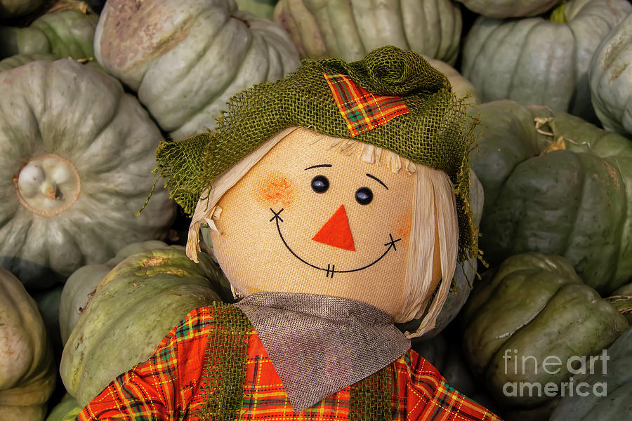 Happy Scarecrow and Pumpkins Photograph by Susan Vineyard