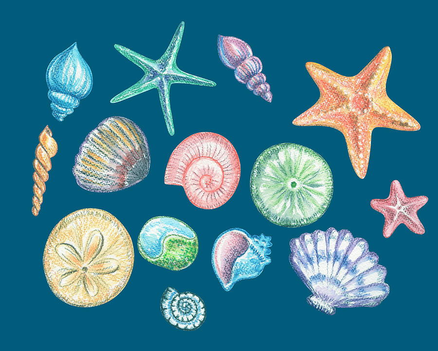 Happy Sea Stars And Shells Beach Art Watercolor  Painting by Irina Sztukowski