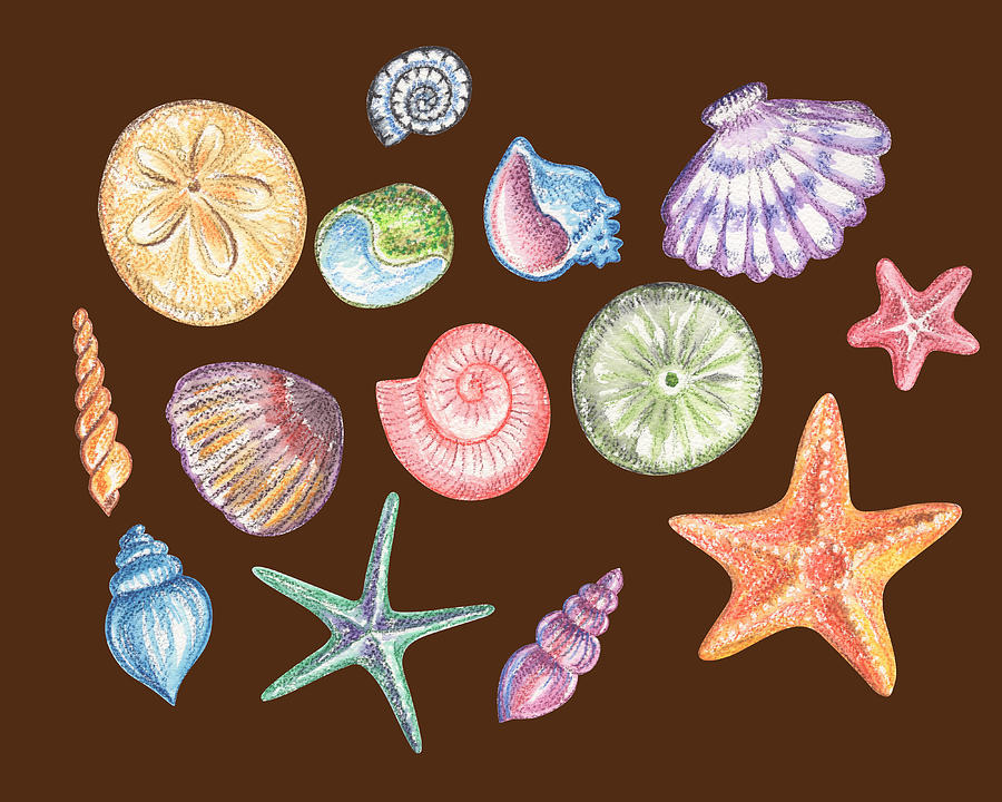 Happy Sea Stars And Shells Watercolor Beach Art Painting by Irina Sztukowski