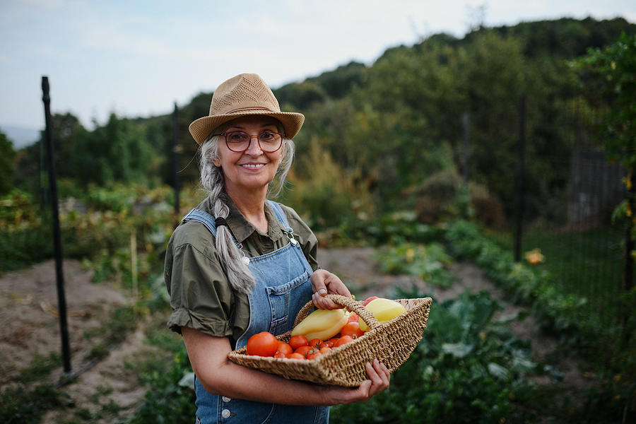 Happy senior woman holding basket with homegrown vegetables and looking at camera in garden. Photograph by Halfpoint Images