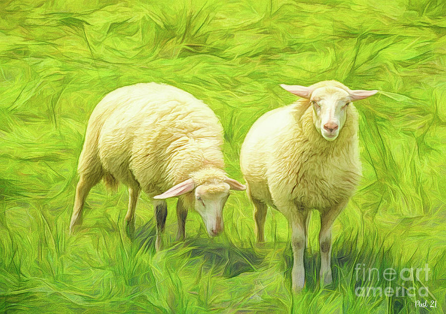 Happy Sheep Digital Art by Jutta Maria Pusl