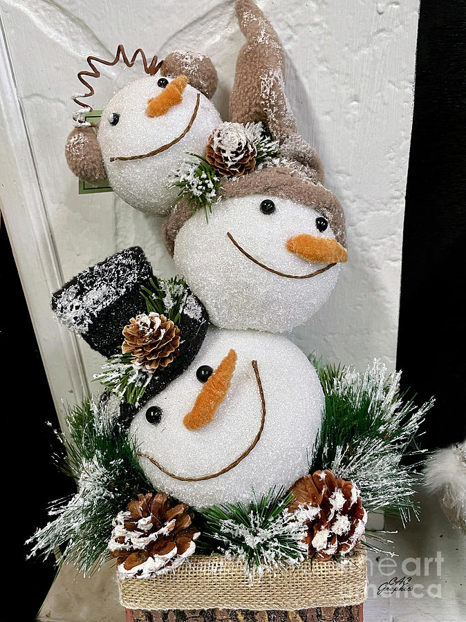 Happy Snowmen Photograph by CAC Graphics