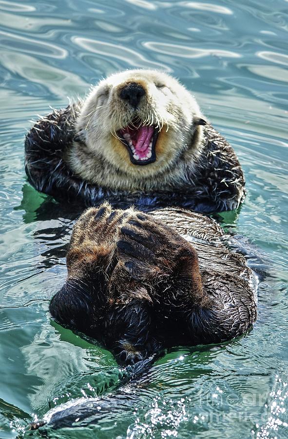 Happy Southern Sea Otter 9538-19O Photograph by Linda Dron Photography