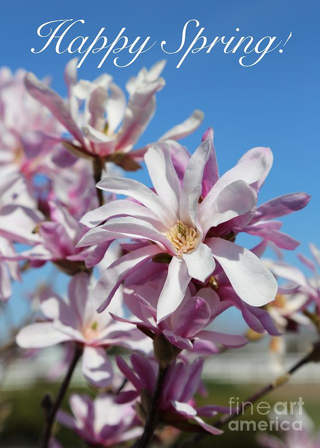 Happy Spring Magnolia Card Photograph by Carol Groenen