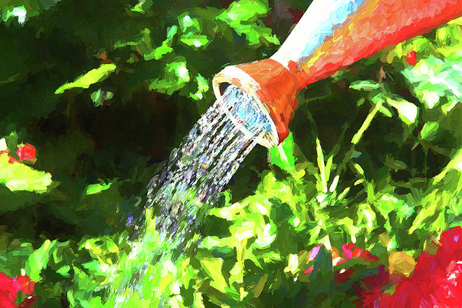 Happy spring watering day Photograph by Tatiana Travelways