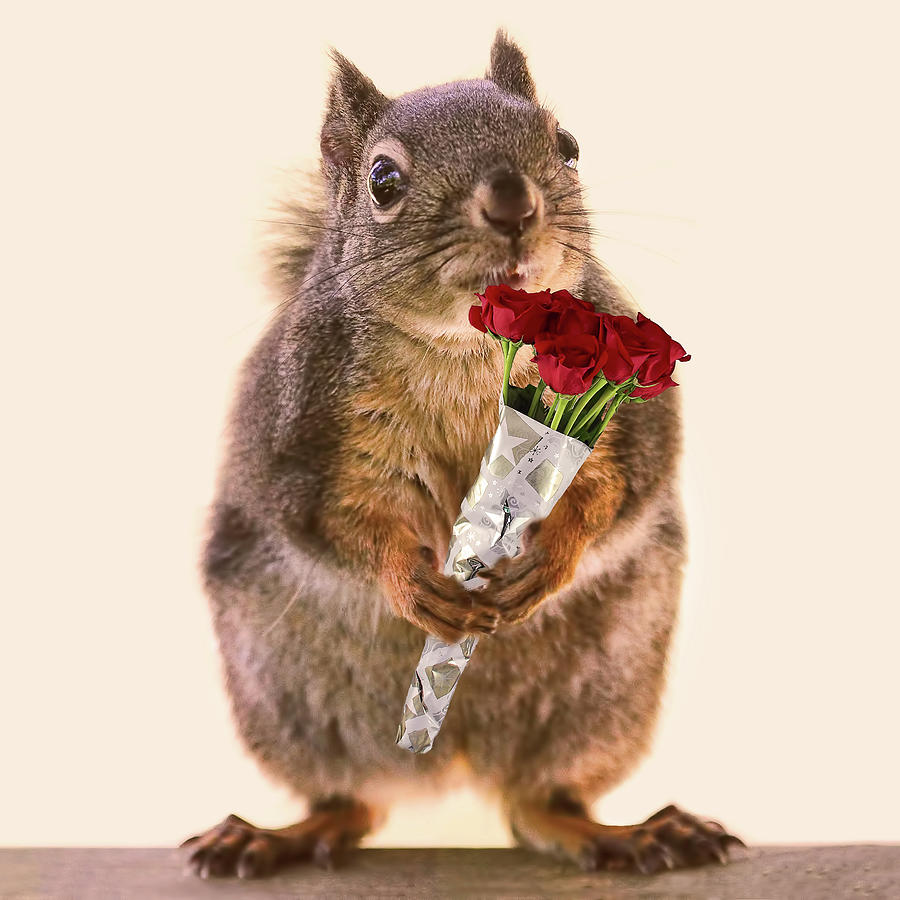 Happy Squirrel Appreciation Day Digital Art by Peggy Collins