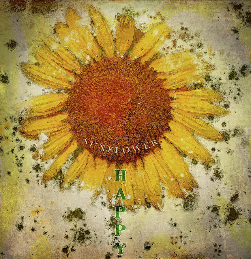 Happy Sunflower Grunge Mixed Media by Dan Sproul