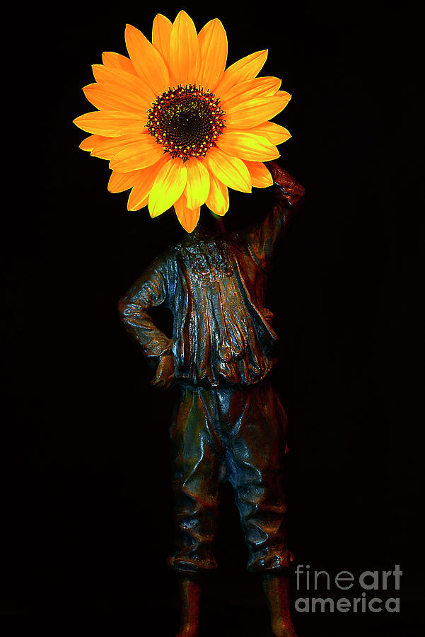 Happy Sunflower Still Life. Photograph