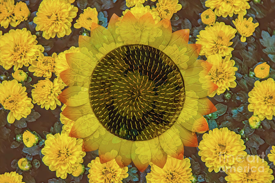 Happy Sunflower Digital Art by Susan Vineyard