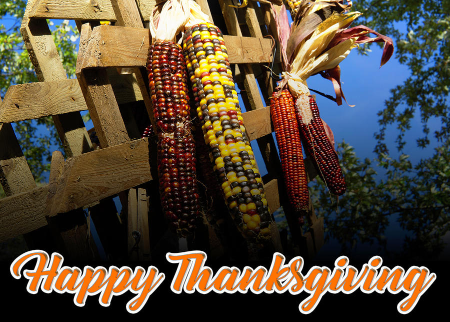 Happy Thanksgiving Greeting Card with Colorful Corn Photograph by David Morehead