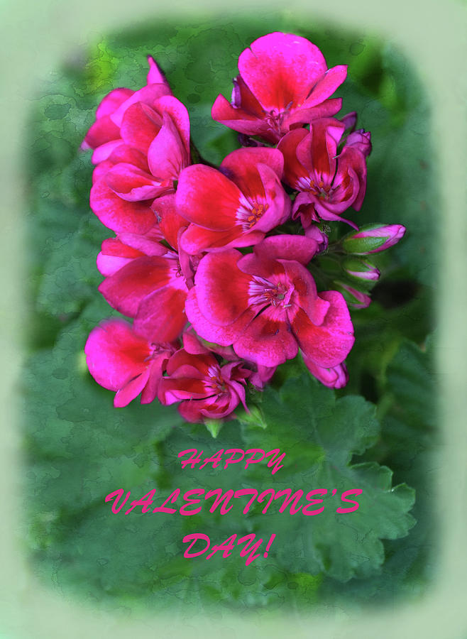Flower Mixed Media - Happy Valentines Day Pink Geraniums by Sandi OReilly