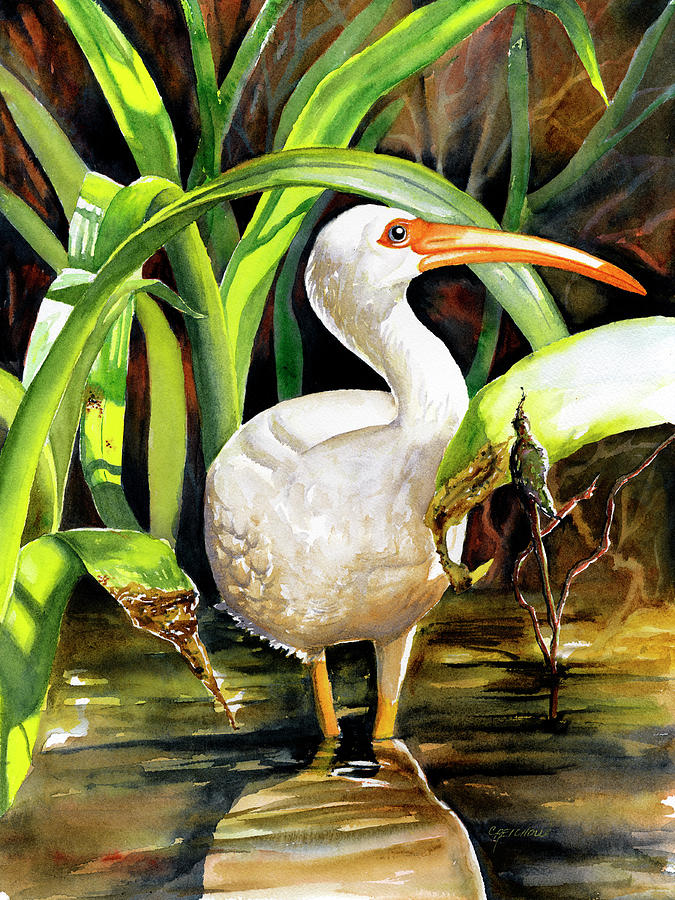Ibis Painting - Happy Wanderer by Christine Reichow