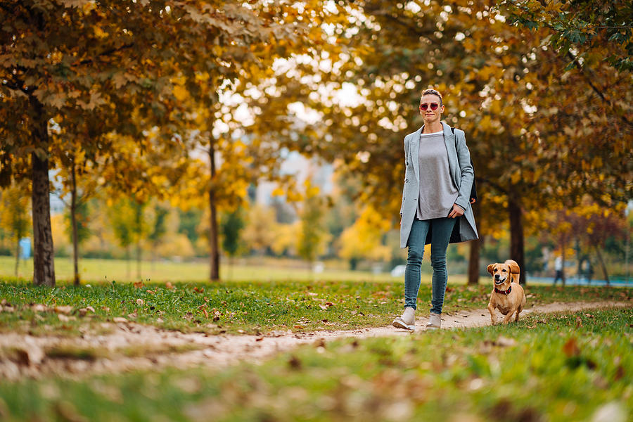 Happy woman walking on a park trail with a small brown dog in autumn Photograph by Kerkez