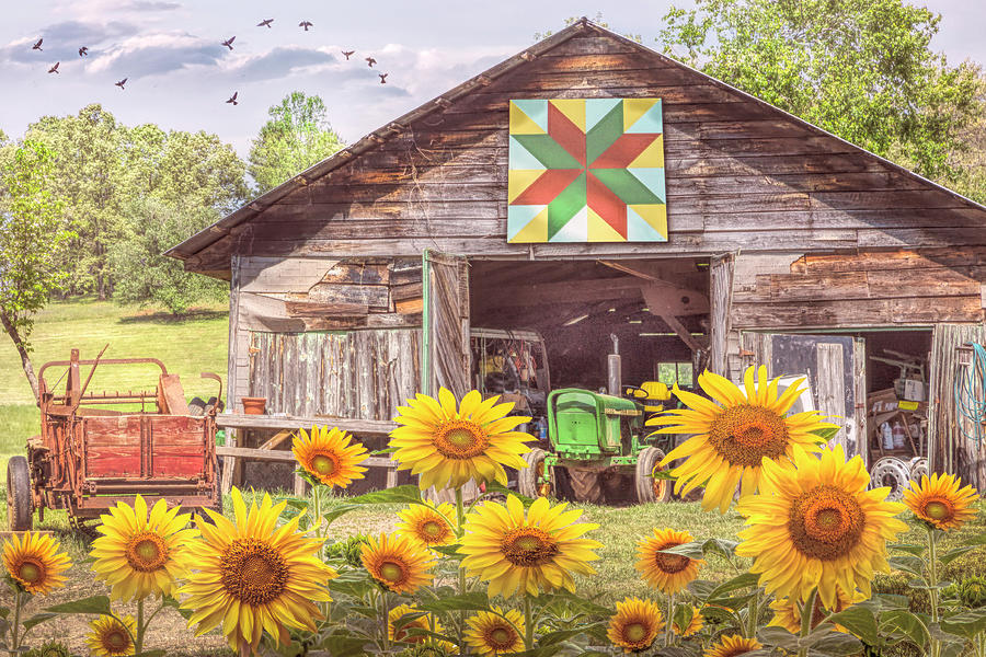 Happydaze Country Colors by Debra and Dave Vanderlaan Happydaze Country Colors by Debra and Dave Vanderlaan