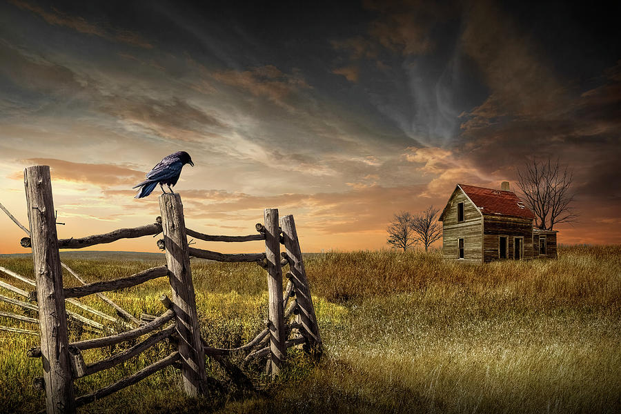 Ethereal Encounter Harbinger of Time and the Black Crow in an Abandoned Farm House Photograph by Randall Nyhof