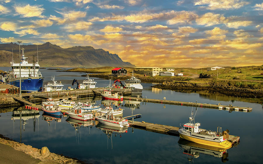 Harbor Along Icelands Eastern Shore Photograph by Marcy Wielfaert