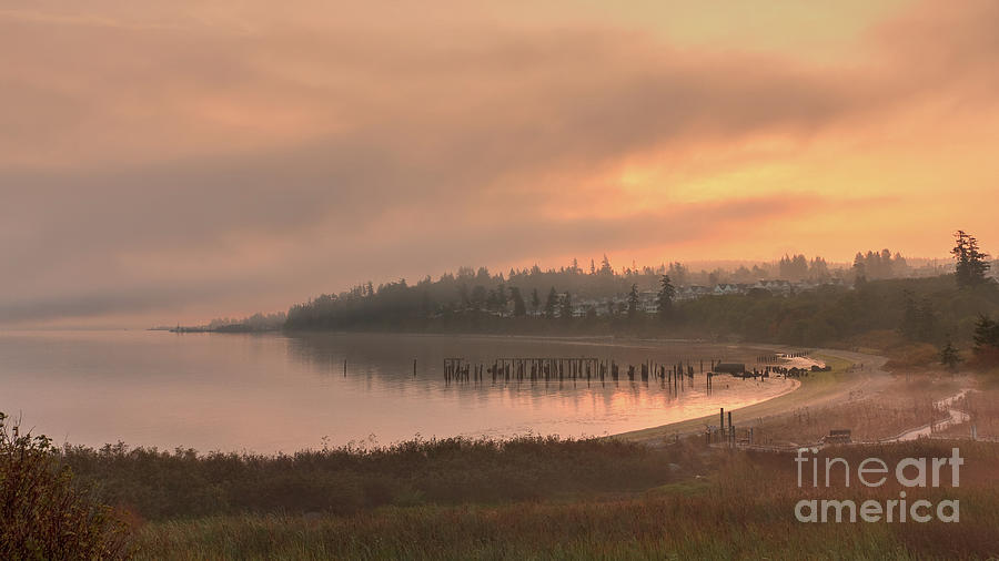 Harbor Bay Mist Photograph by Rod Best