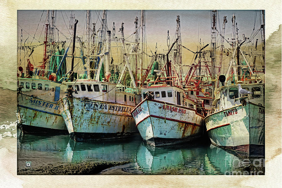Harbor Boats Digital Art by Deb Nakano