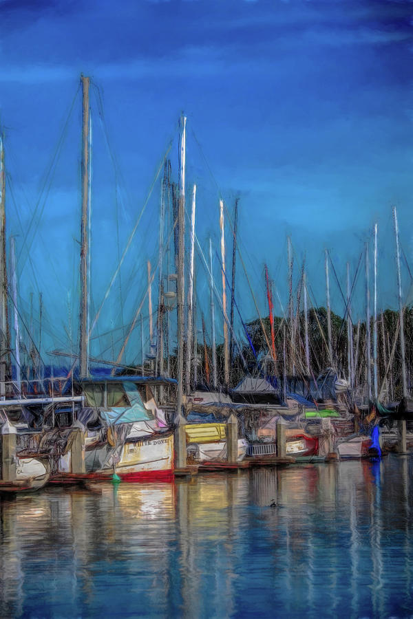 Harbor boats Photograph by Patricia Dennis