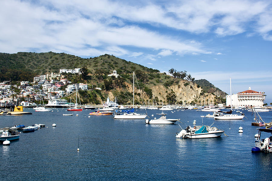 Harbor in Avalon on Catalina Island, California Photograph by Ruth ...