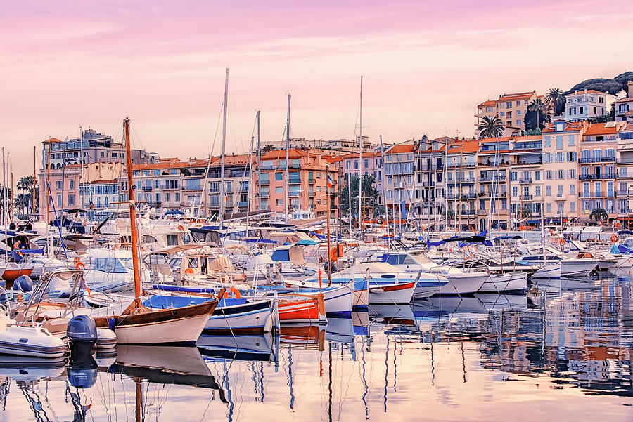 Harbor In Cannes Photograph