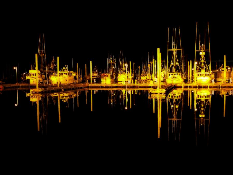 Harbor Lights Photograph by Susan Stephenson