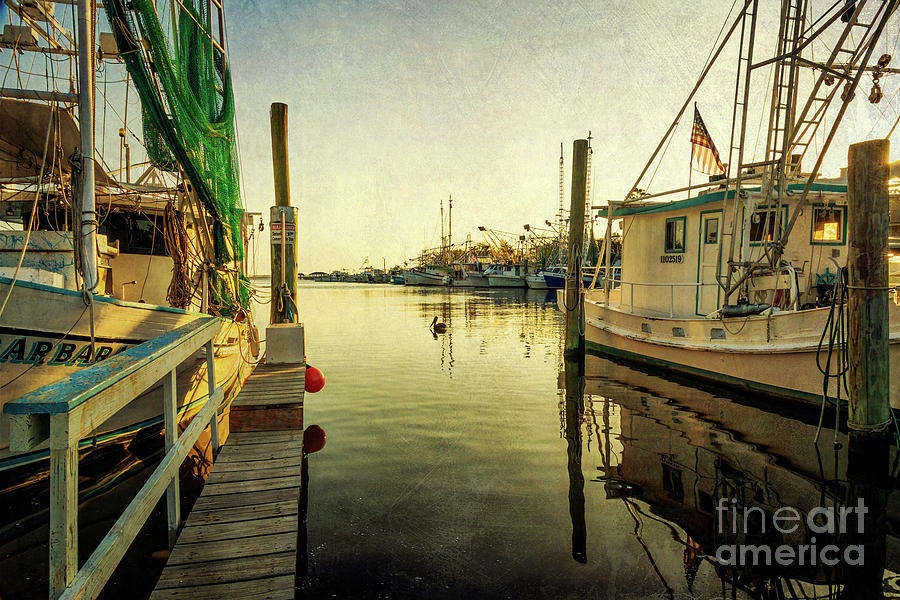 Harbor Master Photograph by Joan McCool